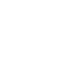Nexon/Logo Variations