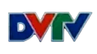 VTV DANANG2008.png