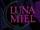 Luna de miel