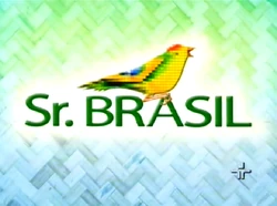 Sr.brasil2008
