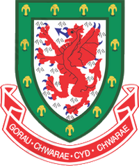 Football Association Of Wales Logopedia Fandom