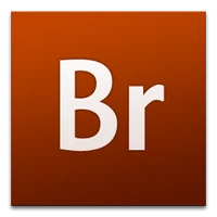 Adobe Bridge (2007-2008)