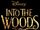 Into the Woods (2014 film)