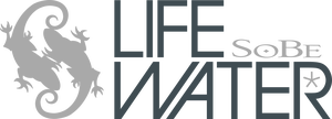 Life Water - 2006