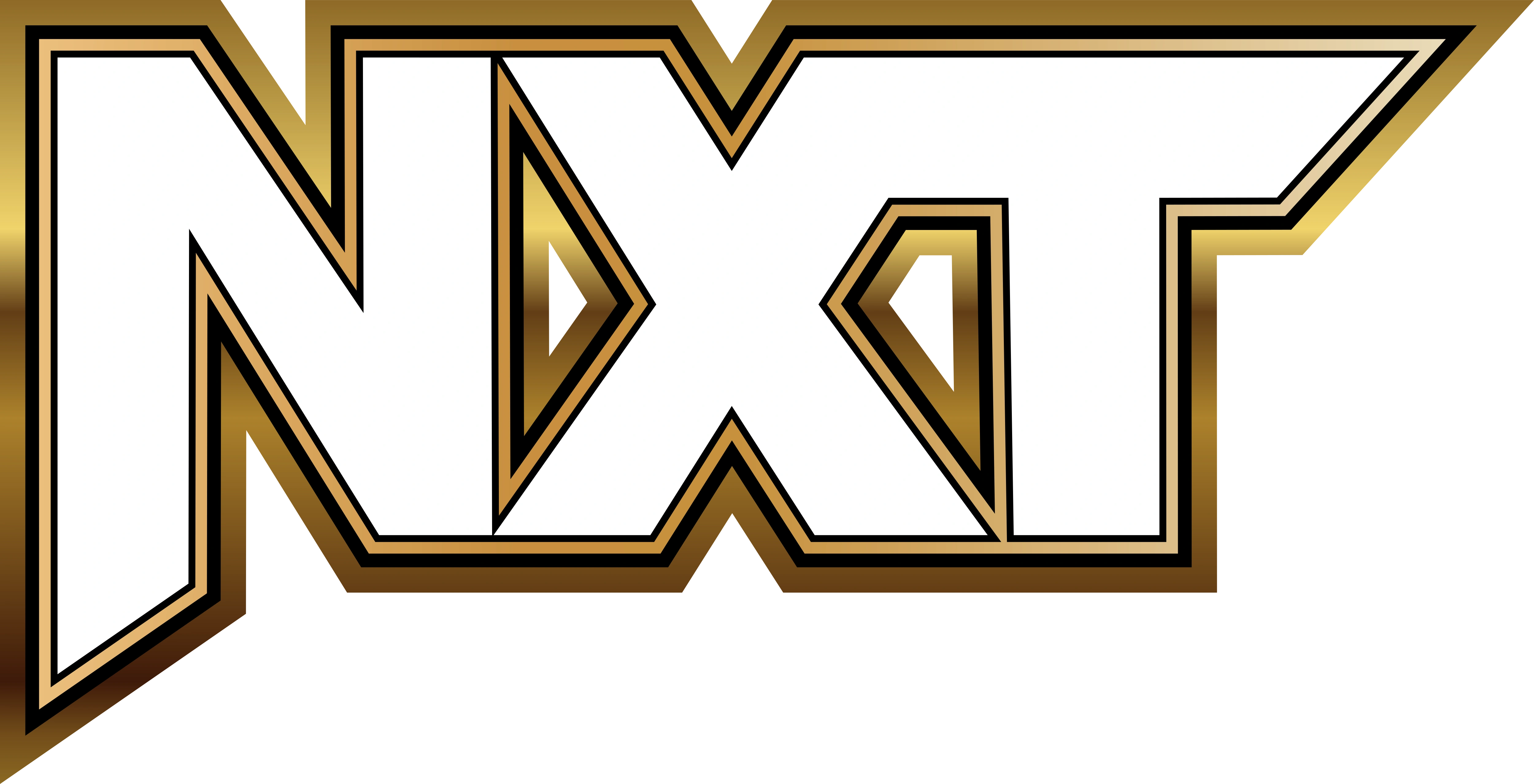 WWE NXT | Logopedia | Fandom, image size:5000x2557