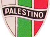 Club Deportivo Palestino