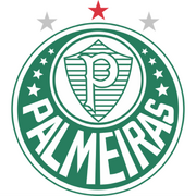 Palmeiras-1989.png