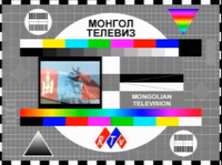 Testcard