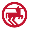 Social media icon