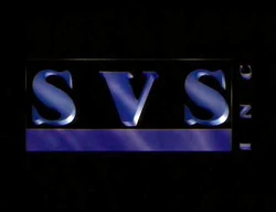 SVS, Inc