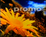 Promo bumper (Spring 1999)