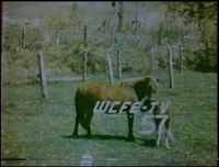 WCFE tv 1979.png (1.01 MB) Station ID (1979)