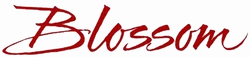 Blossom (TV) logo
