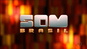 Som Brasil 2011
