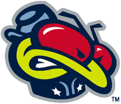 columbus blue jackets stinger jersey