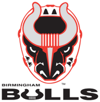 Birmingham Bulls (ECHL) logo.png