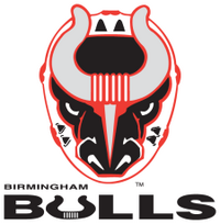 Birmingham Bulls (ECHL) logo