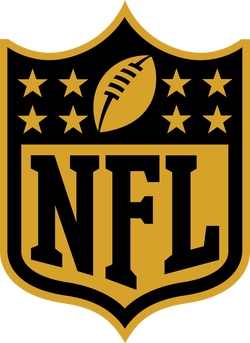 National Football League Playoffs, Logopedia