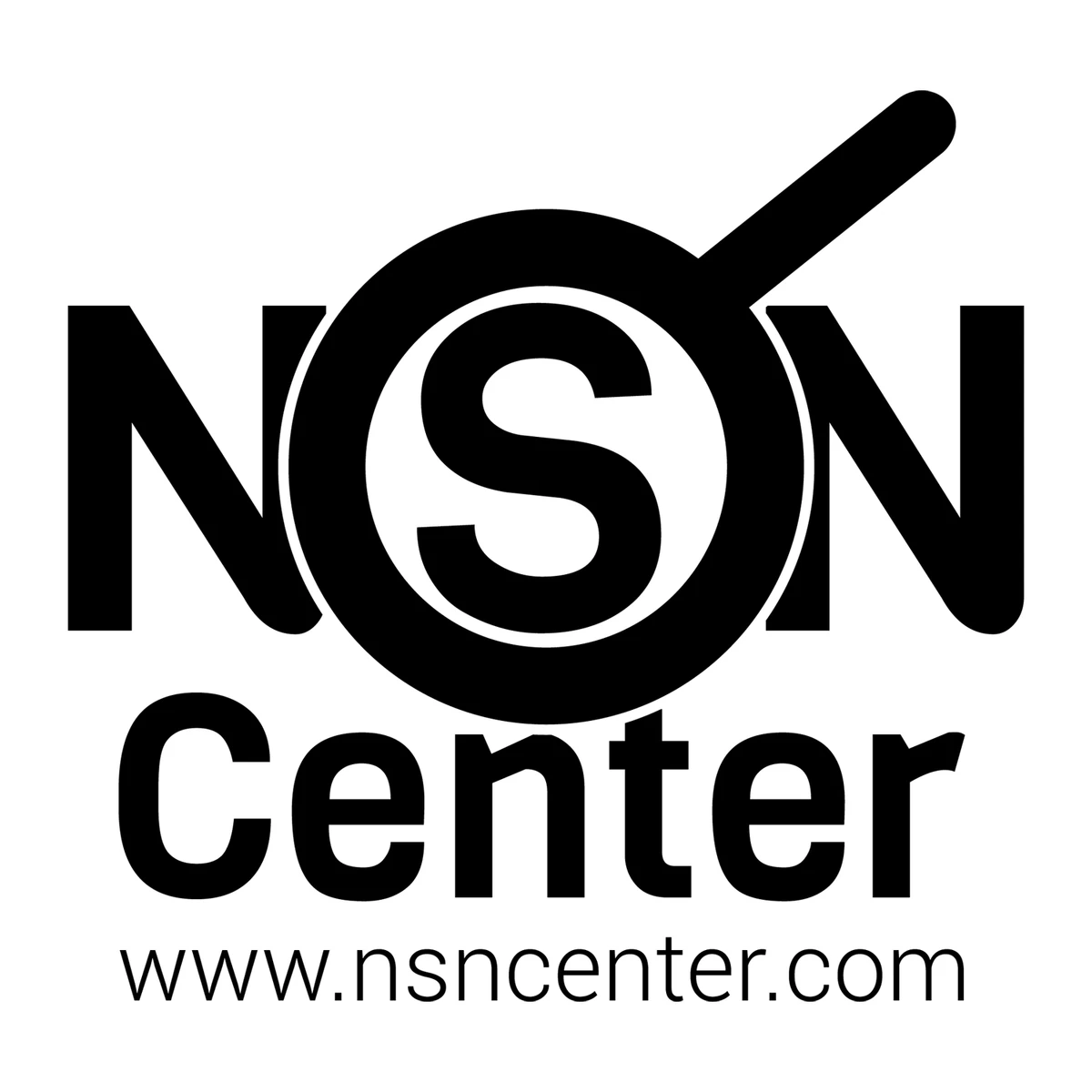 NSN Center Logopedia Fandom