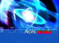 Profil Niaga (2003-2010)