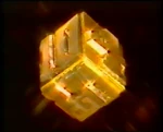 1983 21st Anniversary ID
