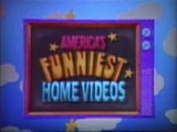 America's Funniest Home Videos/Other
