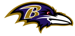 Latest in the Frederick Bouchat and Baltimore Ravens logo saga - LawInSport