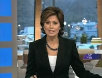 On-screen bug, frame A (2008)