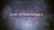 Logo on the title screen