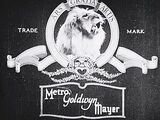 MGM Cartoons