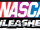 NASCAR Unleashed