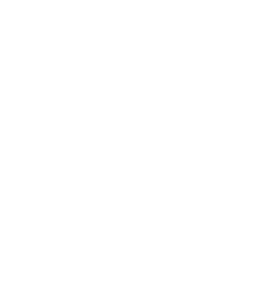 nicktoons network logo white