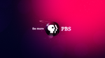 PBS 2009's 3