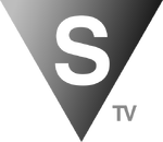 STV (Russia) (2012)