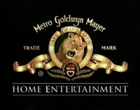 Gone with the Wind VHS (1998)