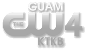 Silver logo