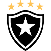 Botafogo-1993