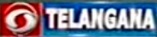 English logo.