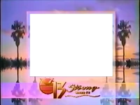 PSA frame (1993-1994)