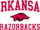 Arkansas Razorbacks