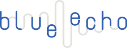 Blueecho wordmark