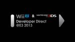 Nintendo-Developer-Direct-Wii-U-and-3DS-Logo-E3-2013