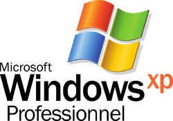 windows operating system logo