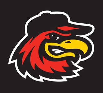 Rochester Red Wings Logo and symbol, meaning, history, PNG, brand