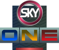 Sky One (1993—1995)