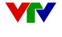 VTV Đà Nẵng (2011-2012)