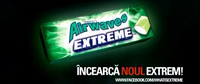 Ad endcap (2012, Romania)