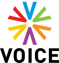 Voice TV 2017