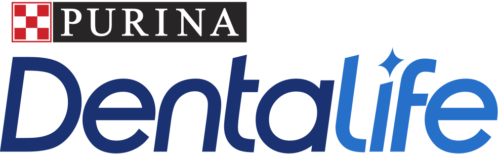 DentaLife | Logopedia | Fandom