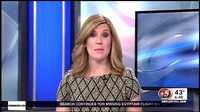 2015–2016 on-screen bug